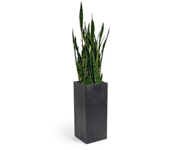 Grand Series Planter